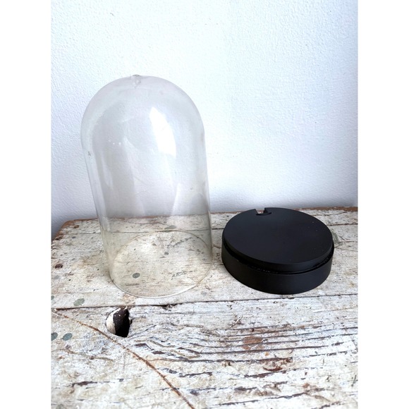 Acrylic Display Dome Case Cloche Globe Gift Decorative Protection DIY Vintage - Picture 2 of 6